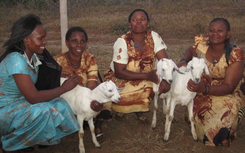 Women group with Beatrice Sharon Ochogo